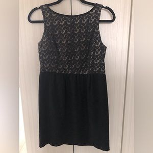 Ann Taylor Loft Dress